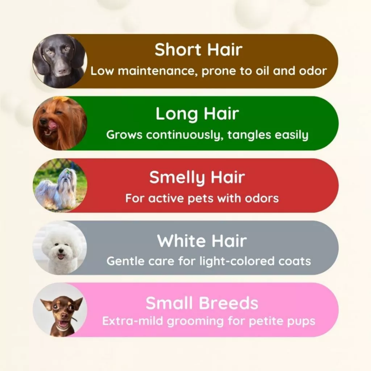 Bearing Tick and Flea Dog Shampoo - Smelly Hair