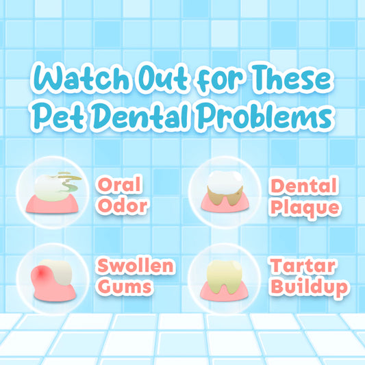 Probiotic Pet Mouthwash (1 pc.)