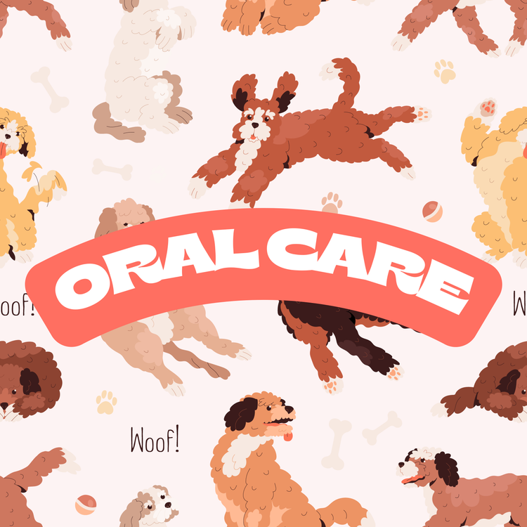 Oral Care