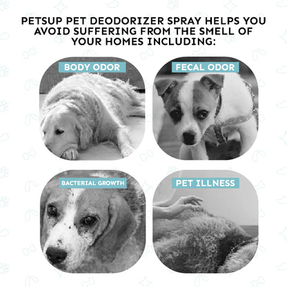 Pet Deodorant Spray