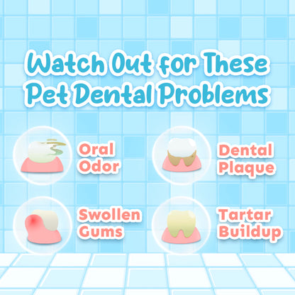 Probiotic Pet Mouthwash (1 pc.)